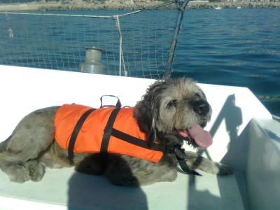 [Immagine: 2011613171555_Blec salvagenteR.jpg]